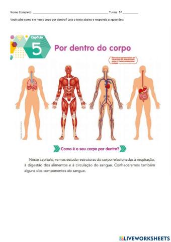 Corpo interno