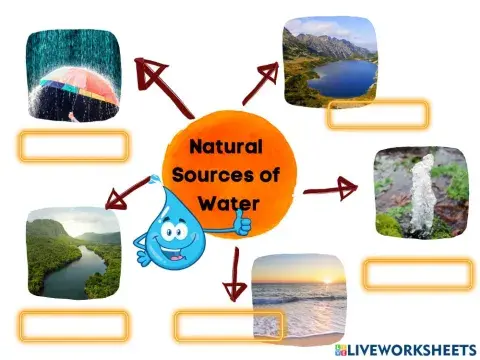 Science y2: natural sources of water