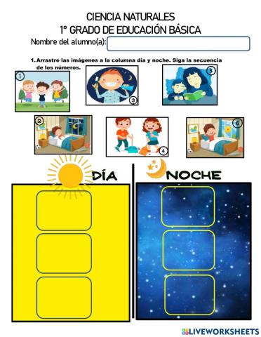 Hoja de trabajo CI 1° grado (Forma 1)