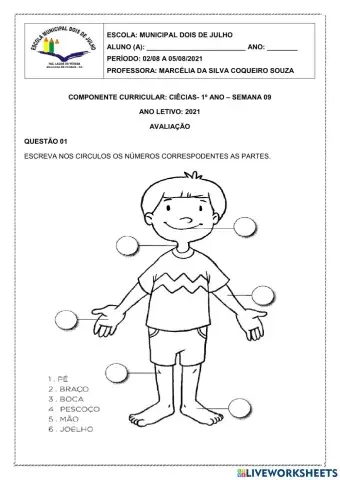 Avaliação de ciências