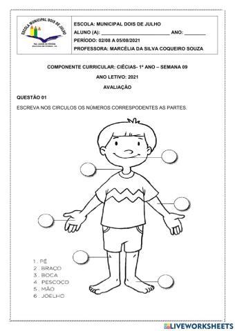 Avaliação de ciências