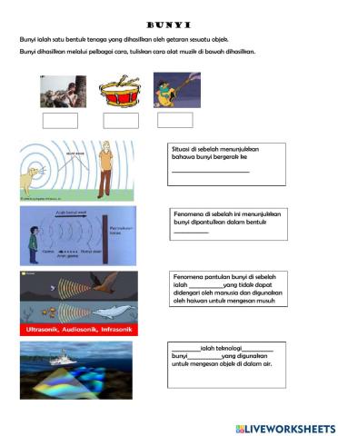 Latihan Unit 6 Bunyi Sains Tahun 4