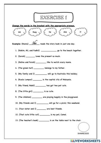 Pronouns he she it we they