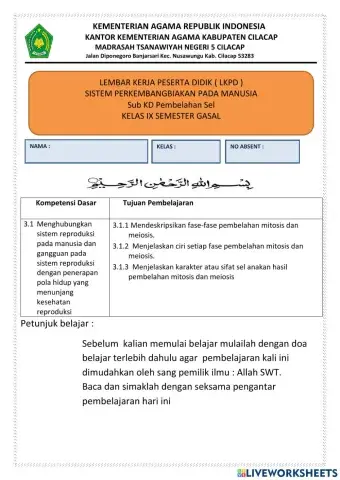 Sistem Reproduksi Manusia
