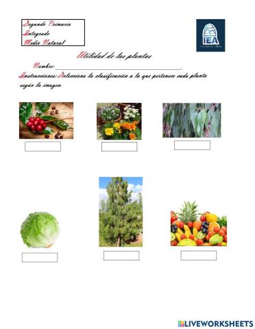 Utilidad de las plantas