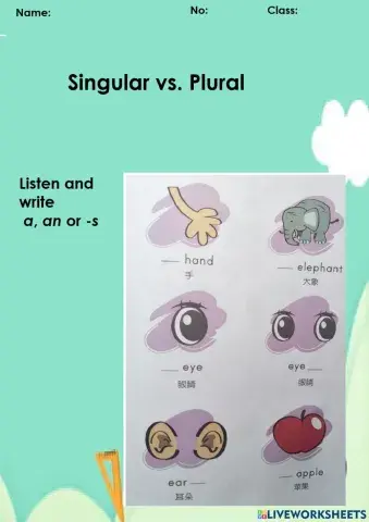 E-pen 1- Singular vs. Plural