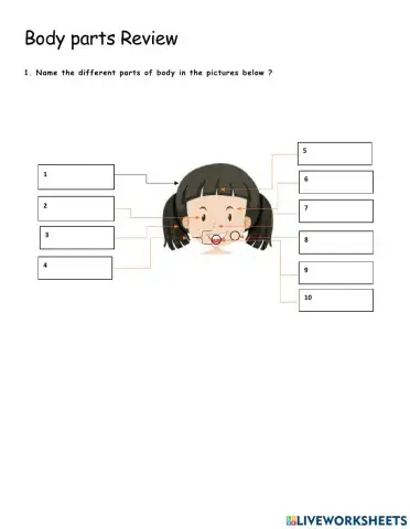 Body parts and what can you do with them