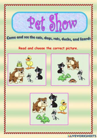 Unit 3 Pet Show SB page 40