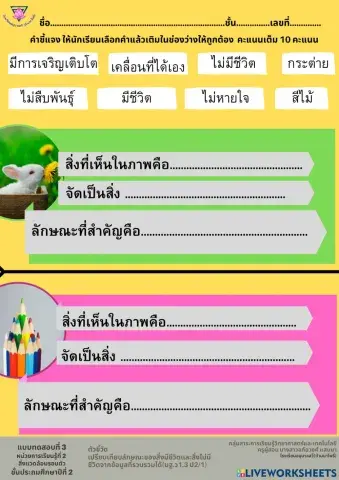 แบบทดสอบหน่วยที่ 2 ชั้นประถมศึกษาปีที่ 2