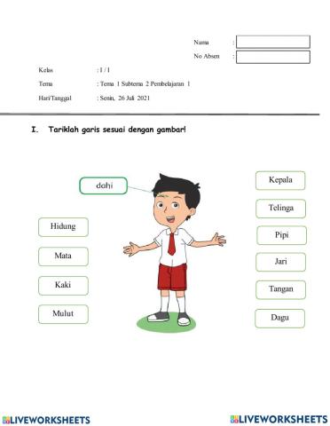 Kosakata Anggota Tubuh