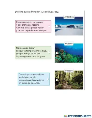 Actividad ciencias naturales