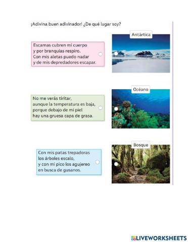 Actividad ciencias naturales