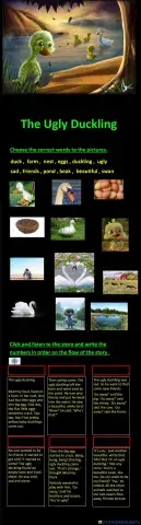 Ugly duckling