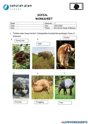 Flora & Fauna di Indonesia