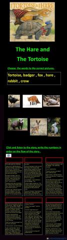 The Hare and The Tortoise