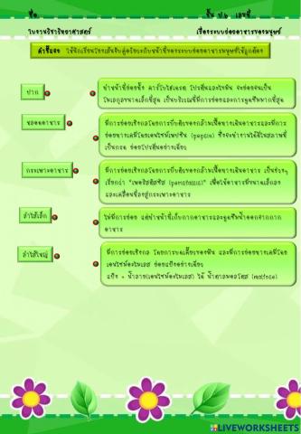 ระบบย่อยอาหารของมนุษย์