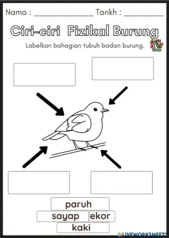 Ciri-ciri Fizikal Burung