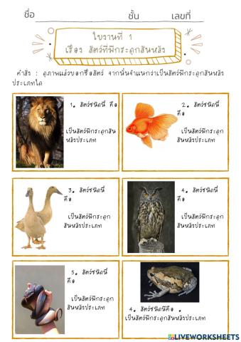 ใบงานที่ 1 เรื่องสัตว์ที่มีกระดูกสันหลัง