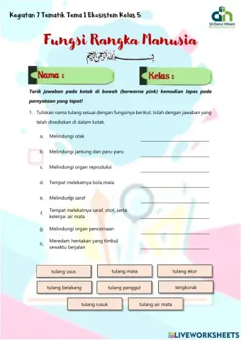 LKPD Fungsi Rangka Manusia