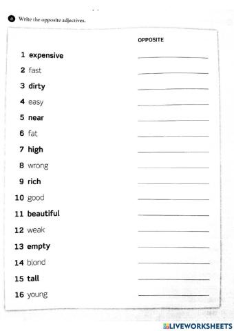 Adjectives and opposites