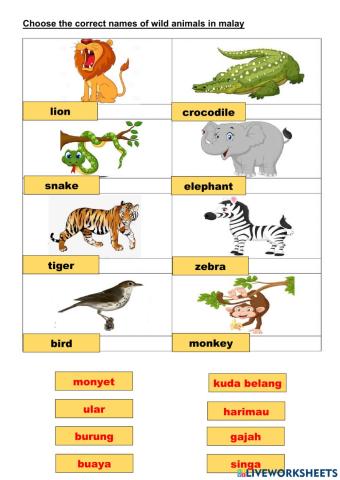 Wild animal in bahasa malaysia