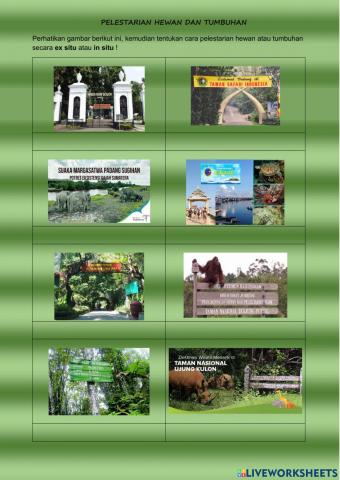 Pelestarian hewan dan tumbuhan