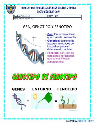 Fenotipo y genotipo