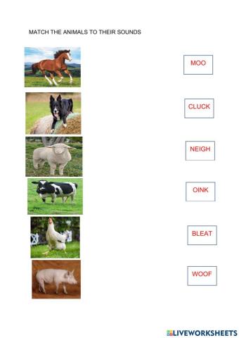 Match The Animal's Sounds