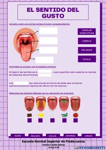 Función de Relación