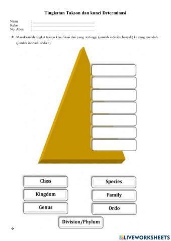 Takson dan Kunci Determinasi