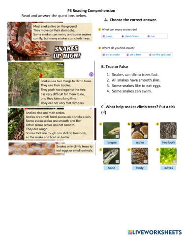 Reading about snakes