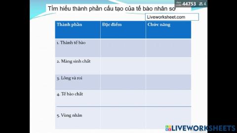 Cấu trúc tế bào nhân sơ