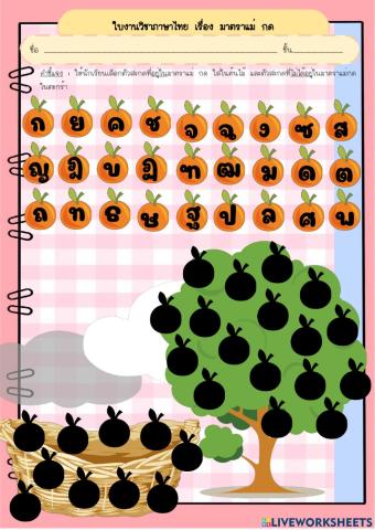 มาตราแม่กด