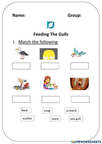 Feeding the Gull- vocabulary