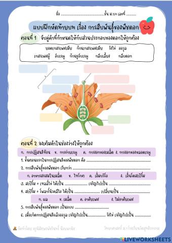 การสืบพันธ์แบบอาศัยเพศ