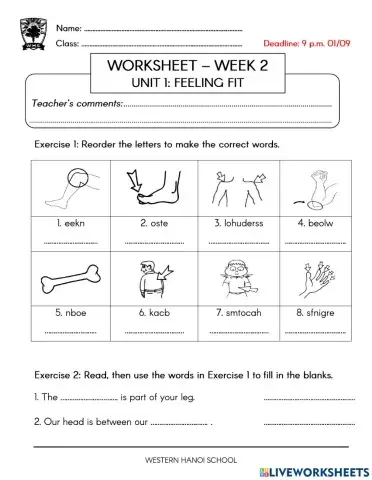 4C4 Review Unit 1 (1)