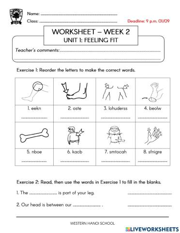4C4 Review Unit 1 (1)