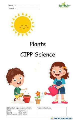 CIPP Science-Plants-Essay