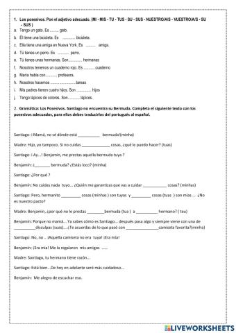 Los posesivos (ajetivos)