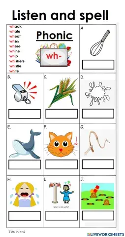 Words with 'wh-' in them