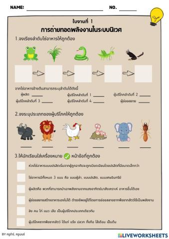 ใบงานที่1 การถ่ายทอดพลังงานในระบบนิเวศ