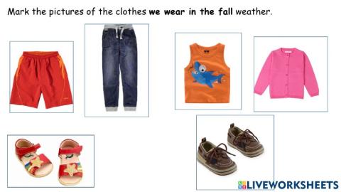 Clothing to wear in the fall