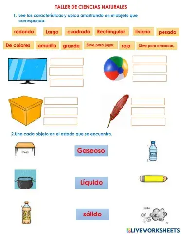 Taller ciencias tercer