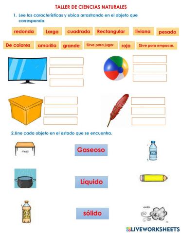 Taller ciencias tercer