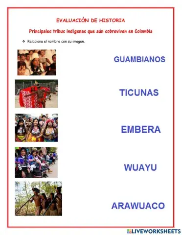 Tibus que sobreviven en colombia