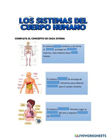 Sistemas del cuerpo humano