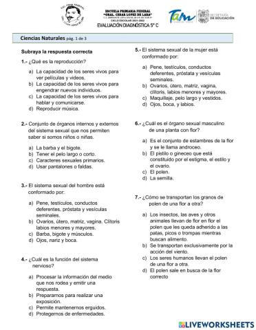 Evaluación diagnóstica