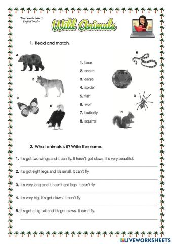 Wild Animals - 3rd Grade