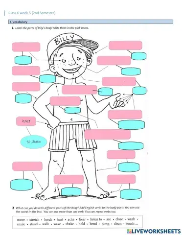 Ailments and injuries