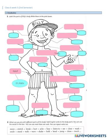 Ailments and injuries